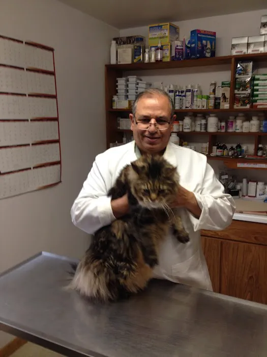 Hammonasset Animal Clinic Picture 1