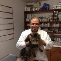 Hammonasset Animal Clinic ico