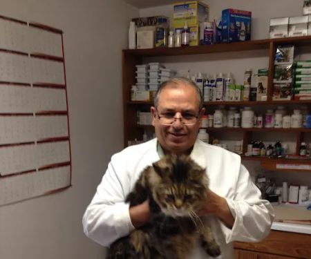 Hammonasset Animal Clinic