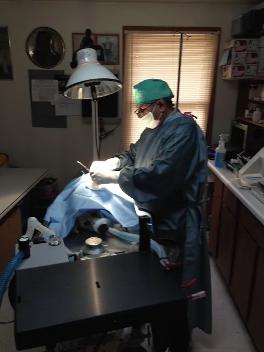 Hammonasset Animal Clinic Picture 3