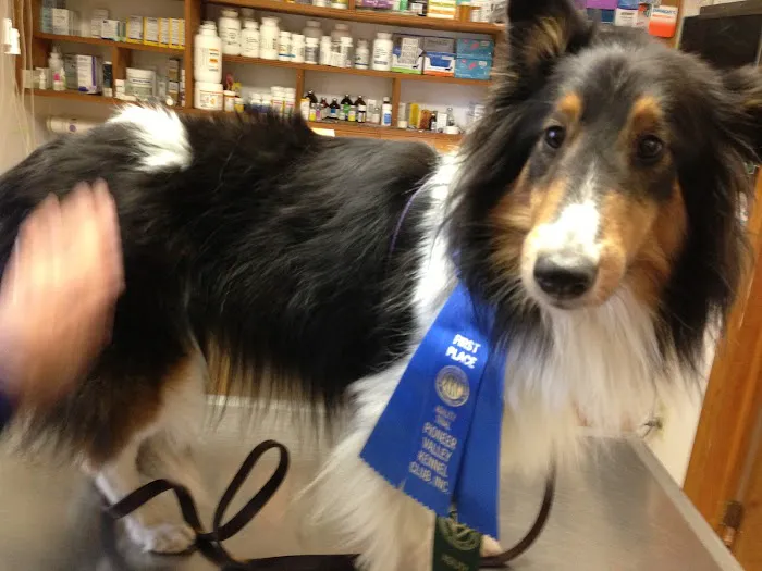 Hammonasset Animal Clinic Picture 5