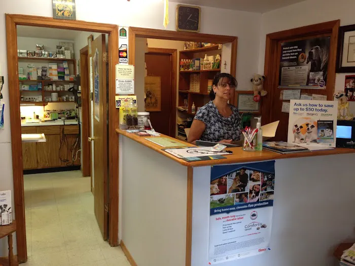 Hammonasset Animal Clinic Picture 7