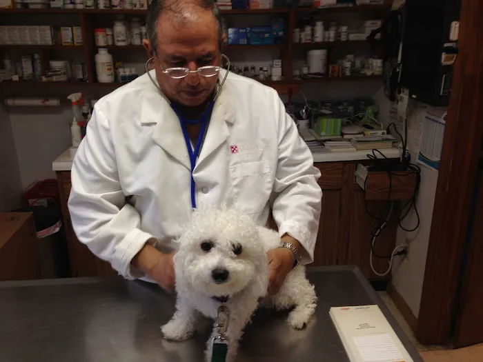 Hammonasset Animal Clinic Picture 8