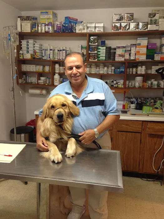 Hammonasset Animal Clinic Picture 9