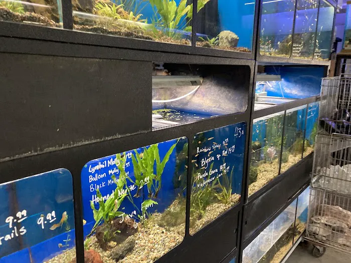 Sierra Fish & Pets Picture 3