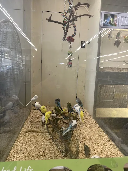Sierra Fish & Pets Picture 2
