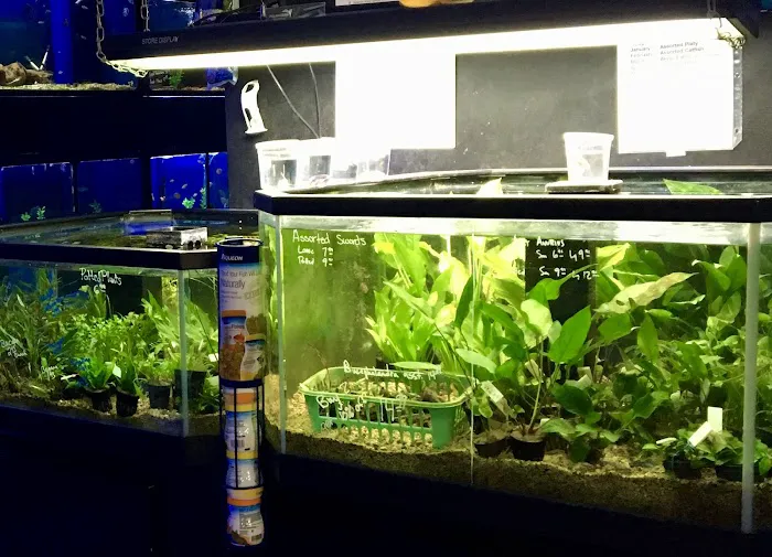 Sierra Fish & Pets Picture 8