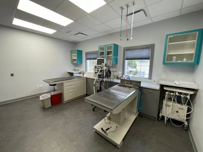 CareFur Veterinarians Picture 7