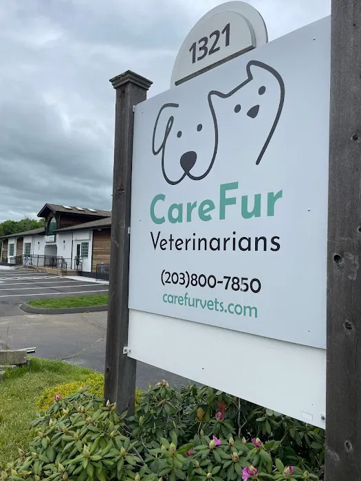 CareFur Veterinarians Picture 9