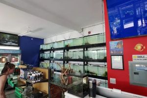 Auto Service Center