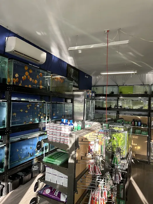 Eurofish Aquatics Picture 9