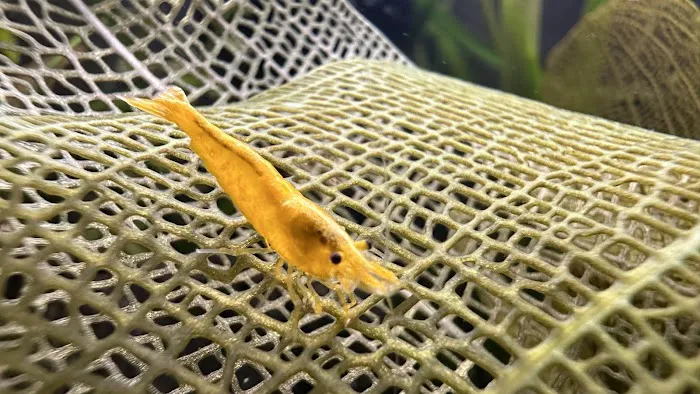 Eurofish Aquatics Picture 10