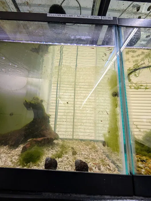 Eurofish Aquatics Picture 5