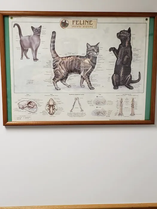 Killingworth Animal Hospital Picture 7