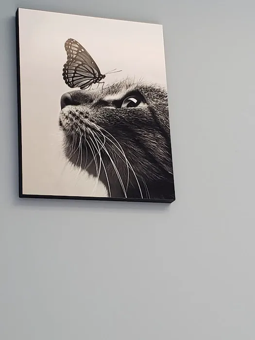 Killingworth Animal Hospital Picture 9