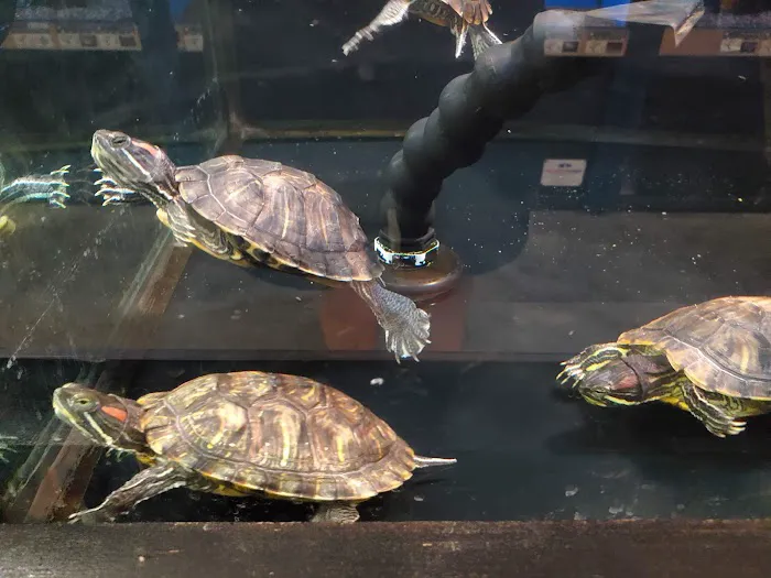 Petco Picture 9