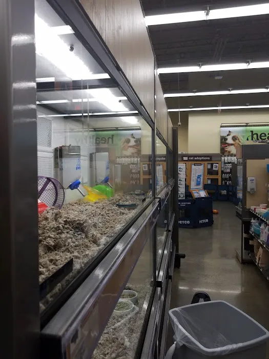 Petco Picture 3