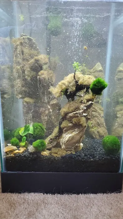 Petco Picture 1