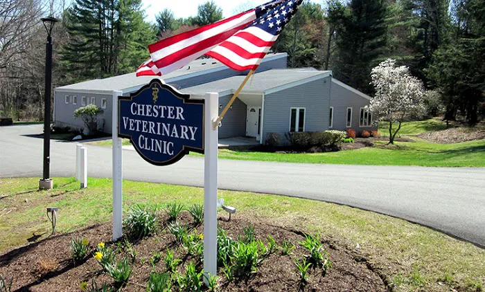 Chester Veterinary Clinic Picture 3