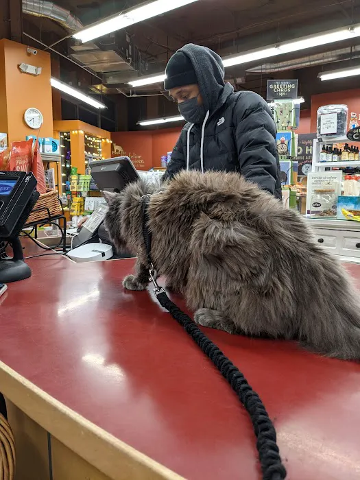 All The Best Pet Care - Columbia City Picture 2