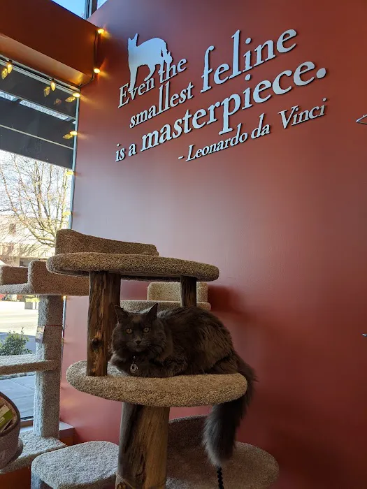 All The Best Pet Care - Columbia City Picture 5