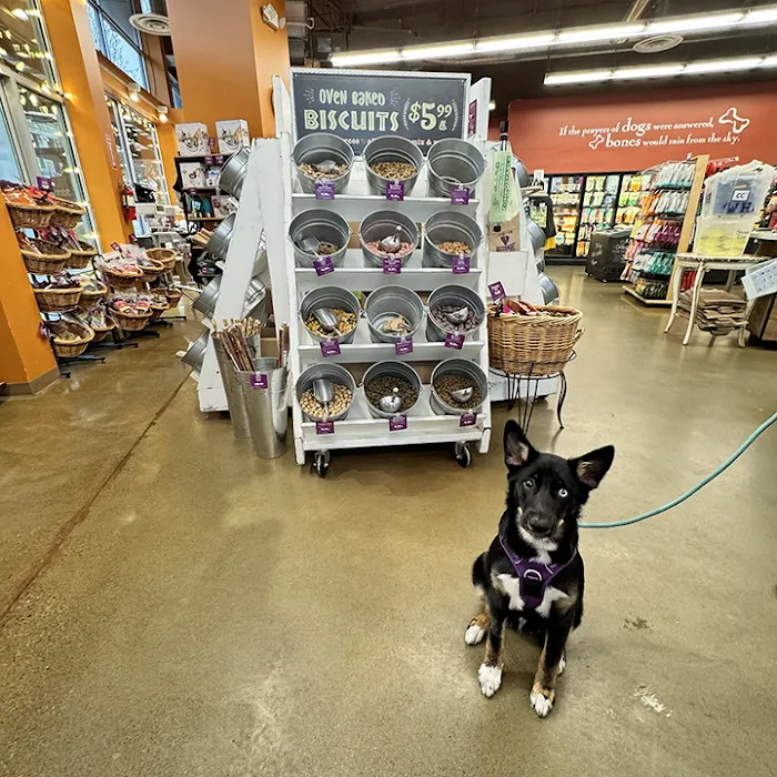 All The Best Pet Care - Columbia City Picture 8