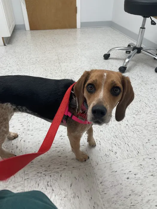 Pieper Veterinary Picture 7