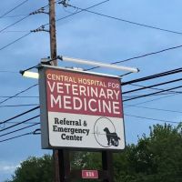 Central Hospital For Veterinary Medicine- Guilford ico