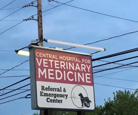 Central Hospital For Veterinary Medicine- Guilford
