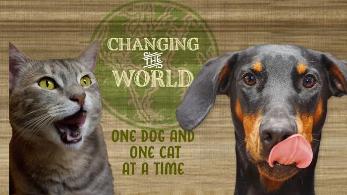 All The Best Pet Care - Mercer Island Picture 4