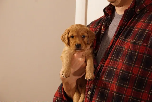 East Haddam Veterinary Clinic Picture 1