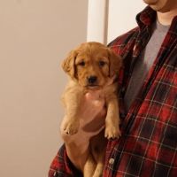East Haddam Veterinary Clinic ico