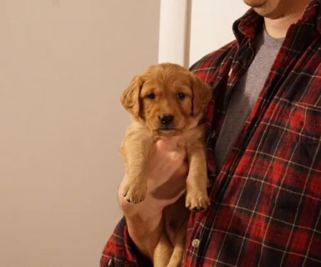 East Haddam Veterinary Clinic