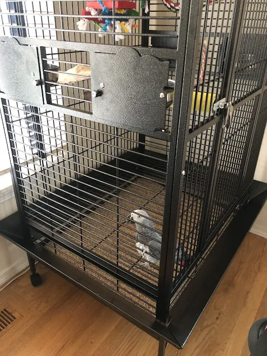 Denise's Parrot Place Picture 3
