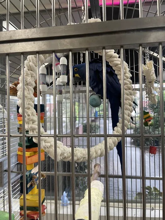 Denise's Parrot Place Picture 1