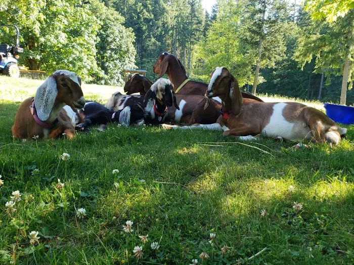Wapiti Farms Picture 7