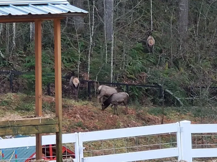 Wapiti Farms Picture 5