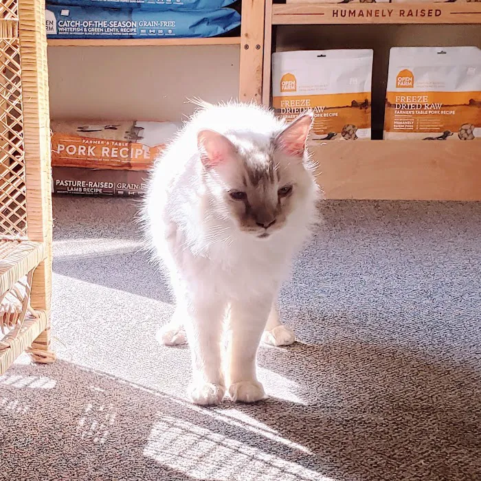 Country Pet Shoppe Picture 9