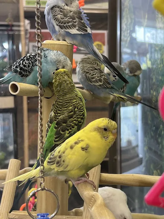 Petco Picture 2