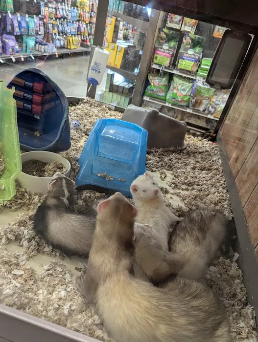 Petco Picture 10
