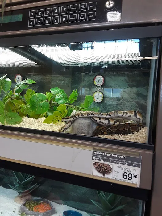 Petco Picture 9