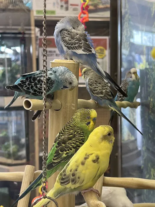 Petco Picture 3