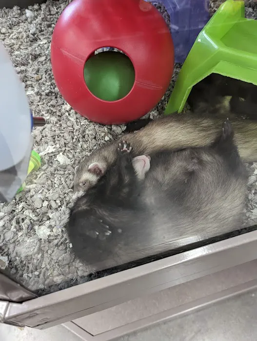Petco Picture 4