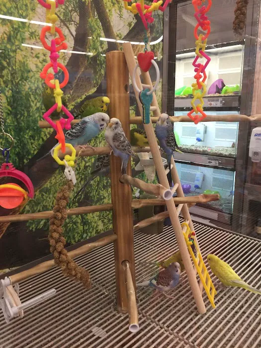 Petco Picture 5