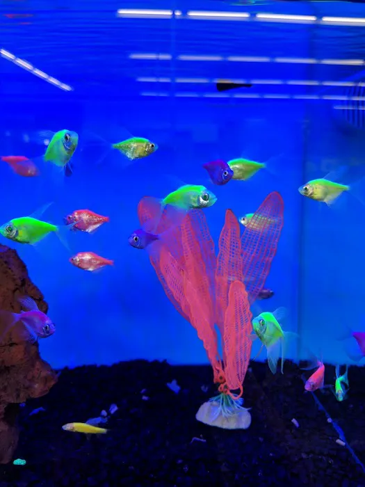 Petco Picture 6