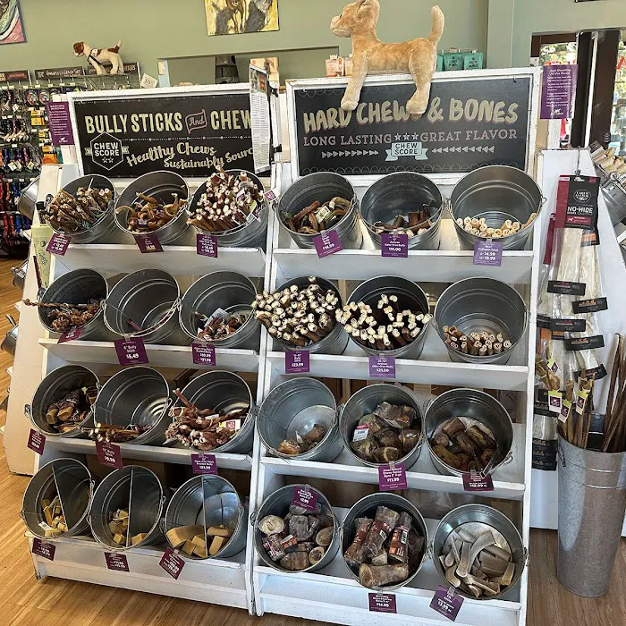 All The Best Pet Care - Ballard Picture 2