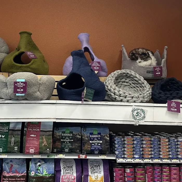 All The Best Pet Care - Ballard Picture 5