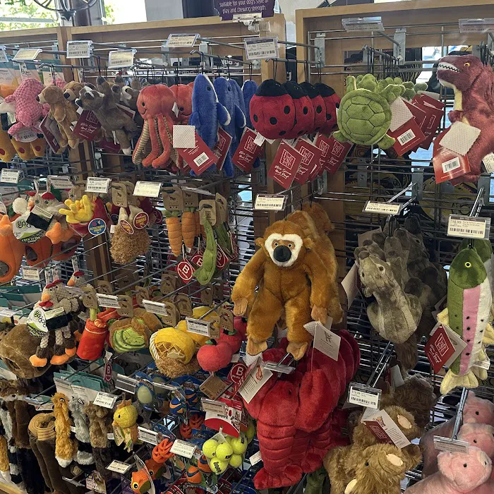 All The Best Pet Care - Ballard Picture 10