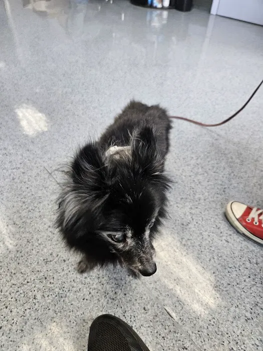 Bergenline Animal Hospital PA Picture 8