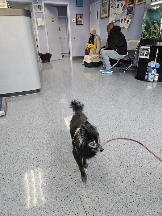Bergenline Animal Hospital PA Picture 9